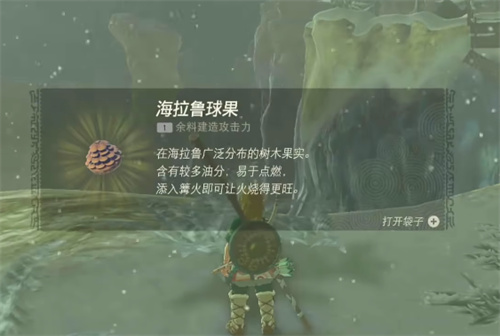 塞爾達(dá)傳說王國之淚利特村斷橋怎么過 斷橋通過方法分享