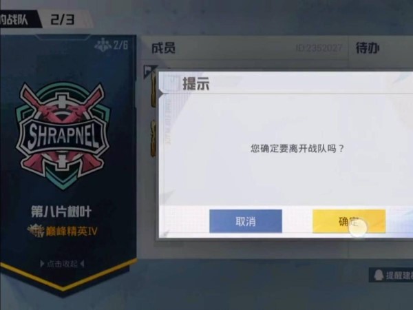 和平精英戰(zhàn)隊(duì)邀請(qǐng)?jiān)卩]箱同意