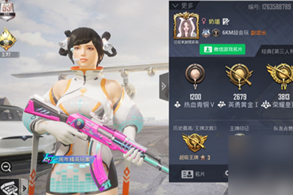 吃雞榮耀皇冠水平分析