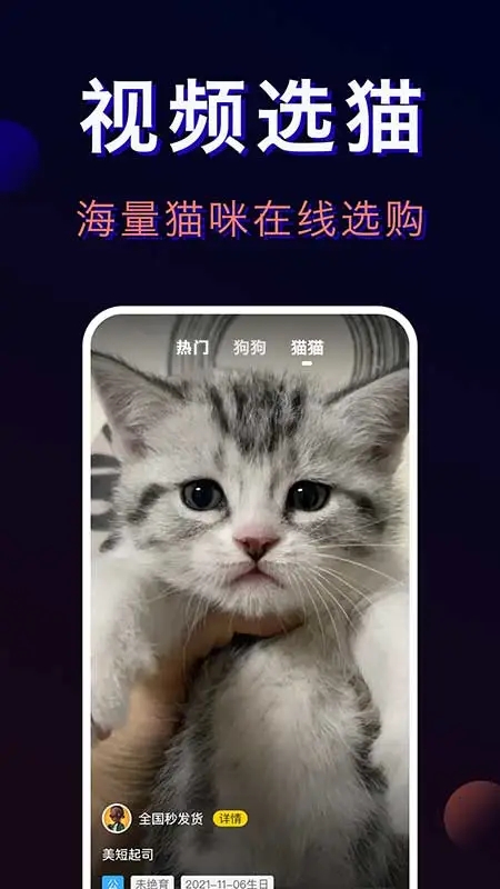 寵物寶app官方下載