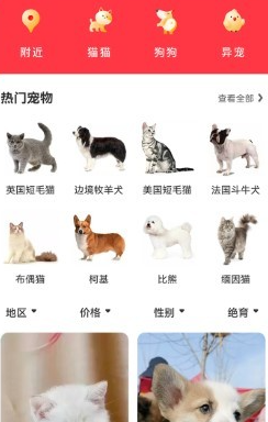 寵物寶app官方下載