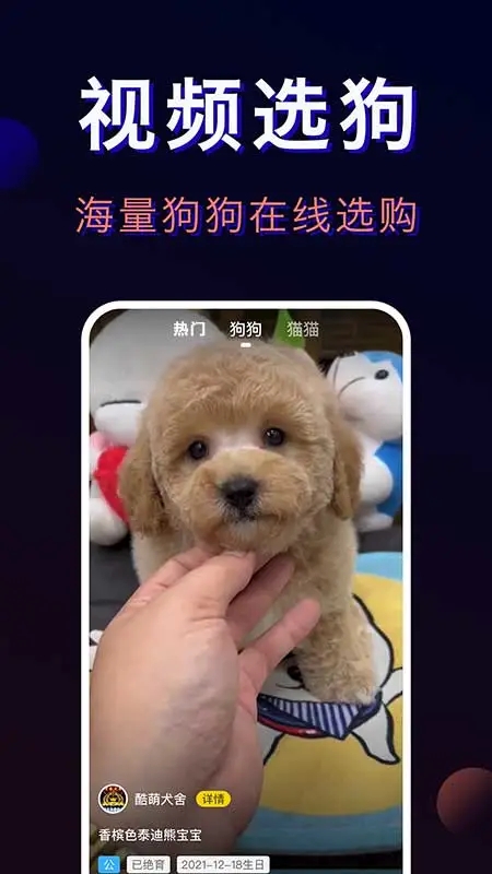 寵物寶app官方下載