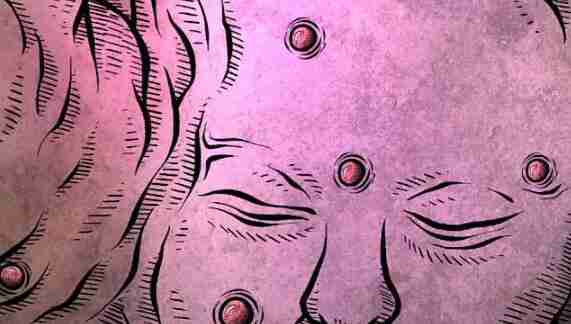 貓博物館第一關(guān)大廳通關(guān)方法