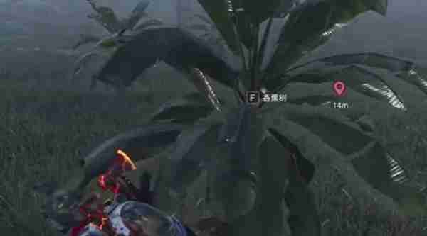 七日世界蜜蛋彈彈樂如何獲得-七日世界蜜蛋彈彈樂獲得方法分享