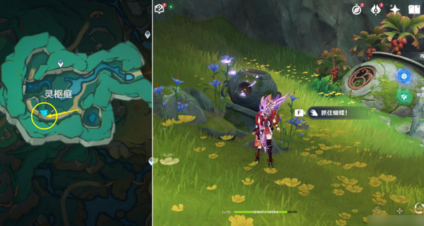 《原神》彩蝶翩然過谷中任務攻略彩蝶翩然過谷中五個蝴蝶位置在哪里8