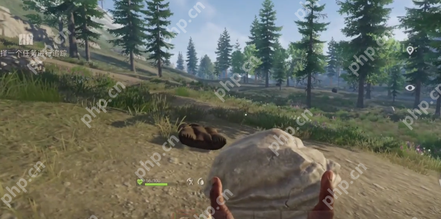 失控進(jìn)化睡袋有什么用-失控進(jìn)化睡袋作用介紹