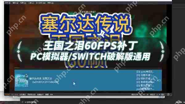 塞爾達(dá)傳說王國之淚60幀補(bǔ)丁怎么用
