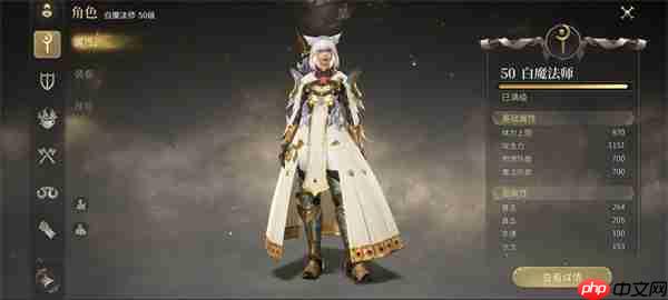 最終幻想14水晶世界白魔鑲嵌屬性選擇