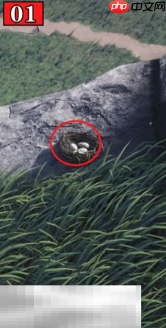 燕云十六聲如此解憂怎么做 清河丹崖萬事知收集